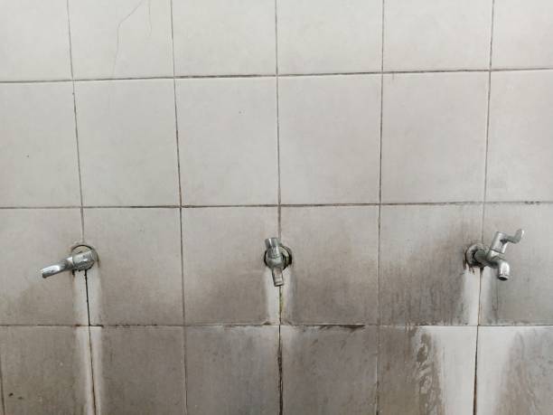  Sault Ste Marie, MI Water damage restoration Pros