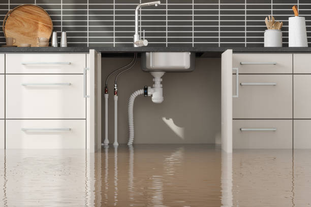 Water damage restoration experts in MI