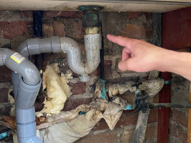 Best Emergency water damage restoration  in Sault Ste Marie, MI