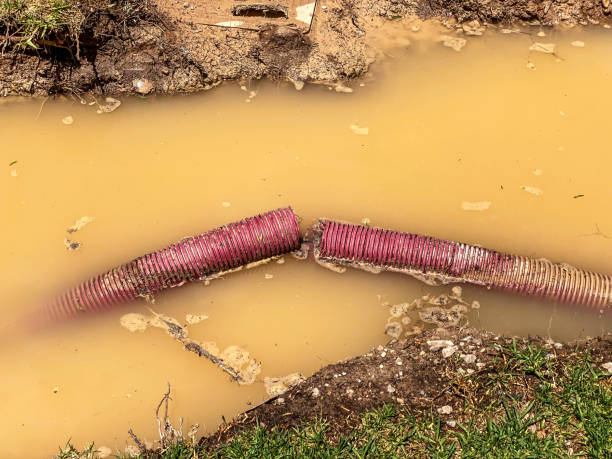 Best Water damage repair service  in Sault Ste Marie, MI